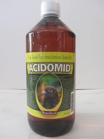 Acidomid holub 1l