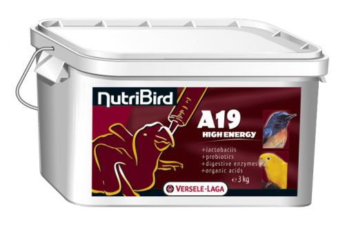 NutriBird A19 Hight Energy - 3kg