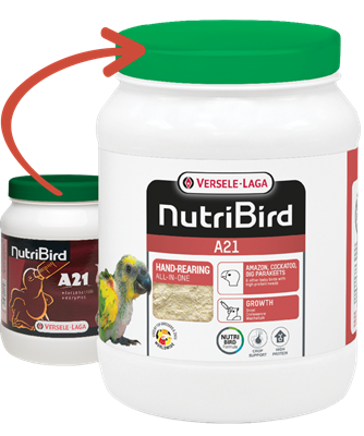 NutriBird A21 - 800g