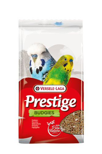 Budgies 4kg